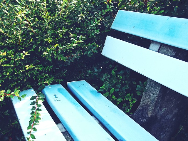 曝沙特欲1亿签青木，若成交曼联坐收3700万！但还需给另一队分成